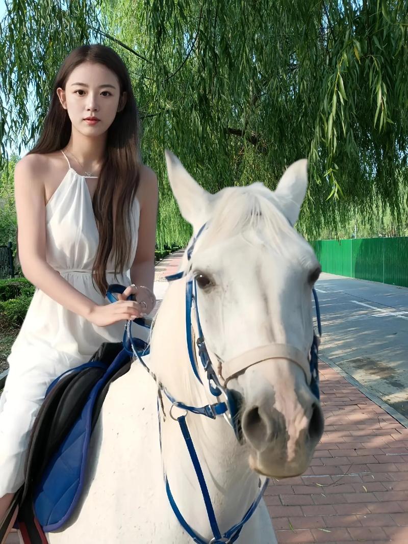 苏伟峰乔雨珊战神归来全文